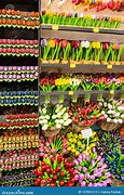 Image result for Holland Tulip Festival Souvenirs