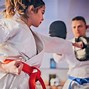 Image result for 10 Types of Karate