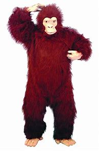 Image result for Best Bigfoot Costume