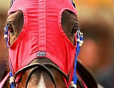 Image result for Horse Racing Jockey Quotes