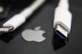Image result for What Is iPhone USB Type