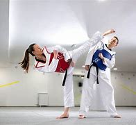 Image result for Taekwondo Kicks
