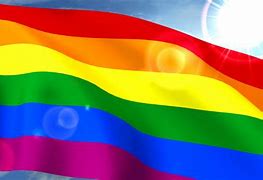 Image result for Pride Colors