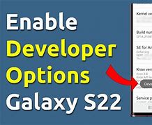 Image result for Developer Options On S22 Samsung