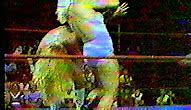 Image result for Classic Wrestling Wallpaper