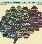 Image result for Cannabis Side Effects