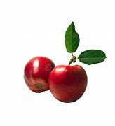 Image result for Small Apple's in Canada