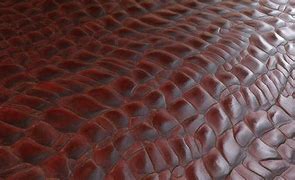 Image result for Dragon Skin Leather Jacket