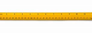 Image result for Yellow Ruler