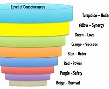 Image result for 8 Circuit Model of Consciousness