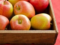 Image result for Best Apple's for Pie Baking