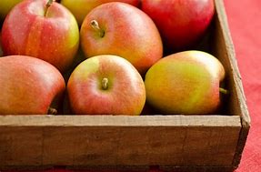 Image result for Best Apple's for Things