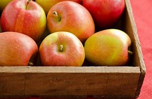 Image result for Baking Apples Varieties