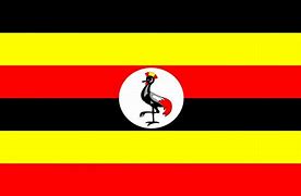 Image result for Ugandan Knuckles Flag
