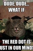 Image result for Red Dot Cat Meme
