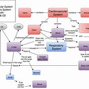 Image result for Ideas for Concept Map Poster Science