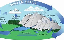 Image result for Surface Water Runoff
