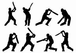 Image result for Cricket Vector Images