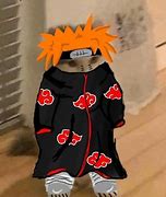 Image result for Pain Cat Naruto