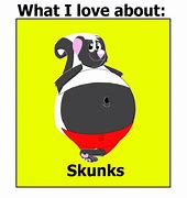 Image result for Funny Skunk Memes