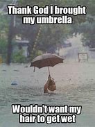 Image result for Umbrella and Rain Coat Meme