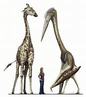 Image result for Big Dinosaur Book