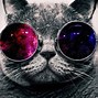 Image result for Cool Cat Desktop Backgrounds
