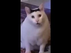 Image result for Huh Cat Eme