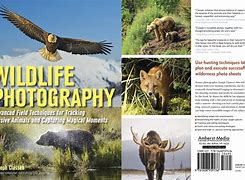Image result for Wildlife Photography Books