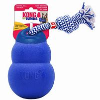 Image result for Kong Dog Toys