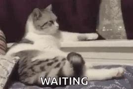 Image result for Funny Waiting Impatiently