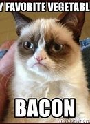 Image result for Bacon Morning Cat Meme