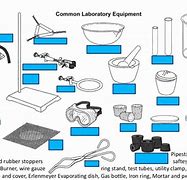 Image result for Science Lab Equipment Worksheet