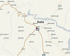 Image result for bafia