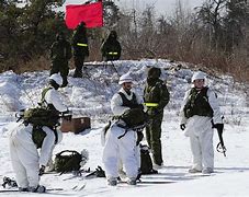 Image result for Canadian Forces Base Petawawa