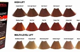 Image result for Honey Blonde Hair Color Chart