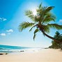Image result for Bing Desktop Wallpaper Caribbean Beach