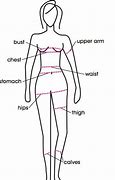 Image result for Accurate Body Measurements