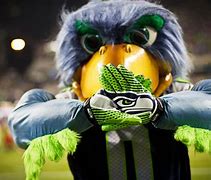 Image result for Seattle Seahawks Bird