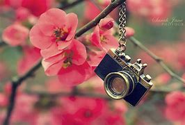 Image result for Cute Camera Backgrounds