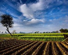 Image result for What Is Agriculture