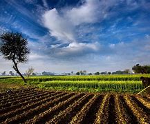 Image result for agricult8ra