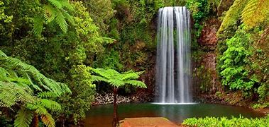 Image result for tropical rainforest wallpapers 4k waterfalls