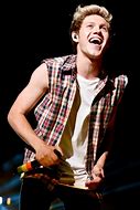Image result for Niall Horan Cricket