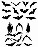 Image result for Transparent Hanging Bat