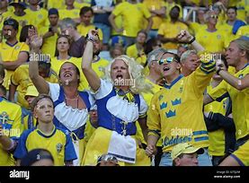 Image result for Sweden Fans