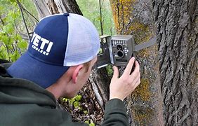 Image result for Spypoint Trail Cameras