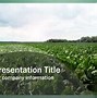 Image result for Green PowerPoint Templates