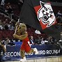 Image result for NCAA Mascots