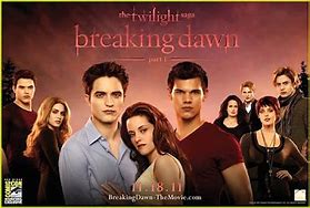 Image result for Breaking Dawn Book Designs